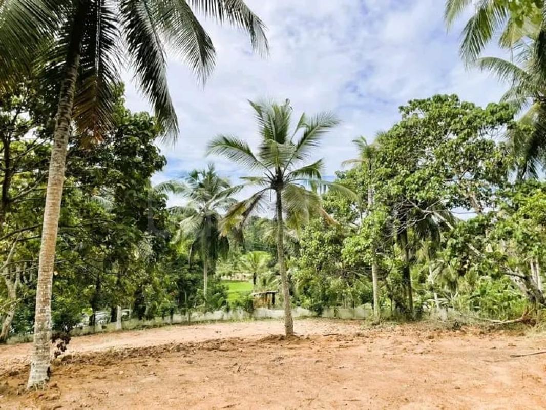 Residential Land for Rent in Kirindiwela ads-image-1