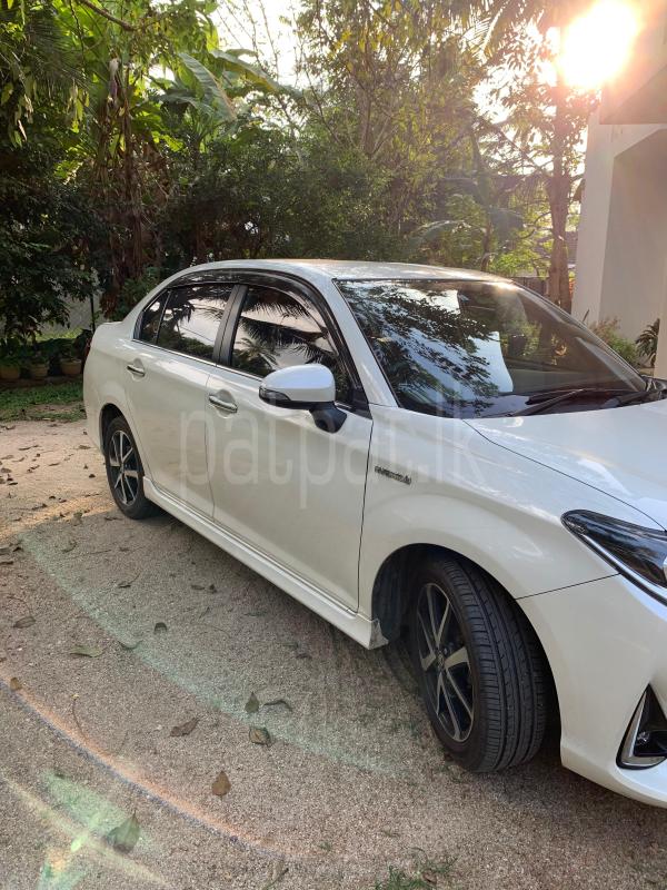 Advertisement image 5