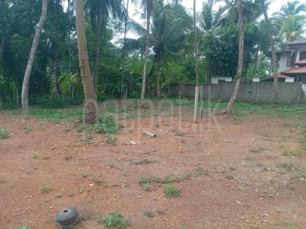 Agricultural Land for Sale in Kadawatha ads-image-1