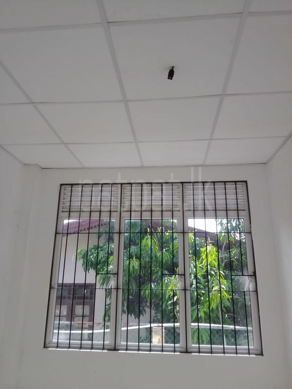 Advertisement image 15