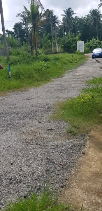 Commercial Land for Sale in Kadawatha