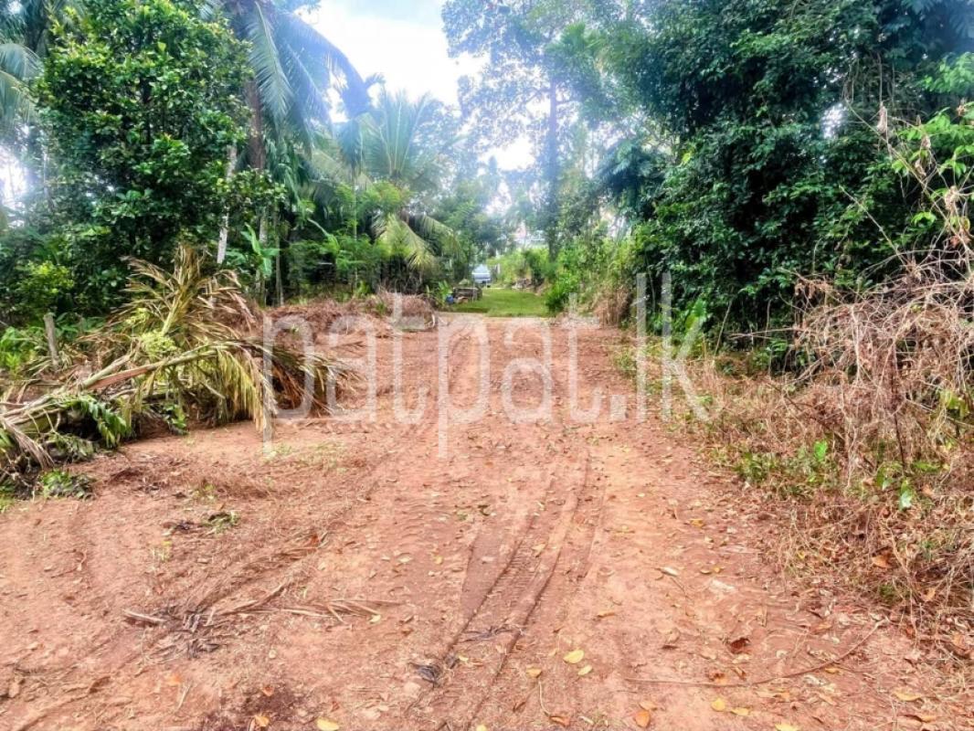 Advertisement image 3