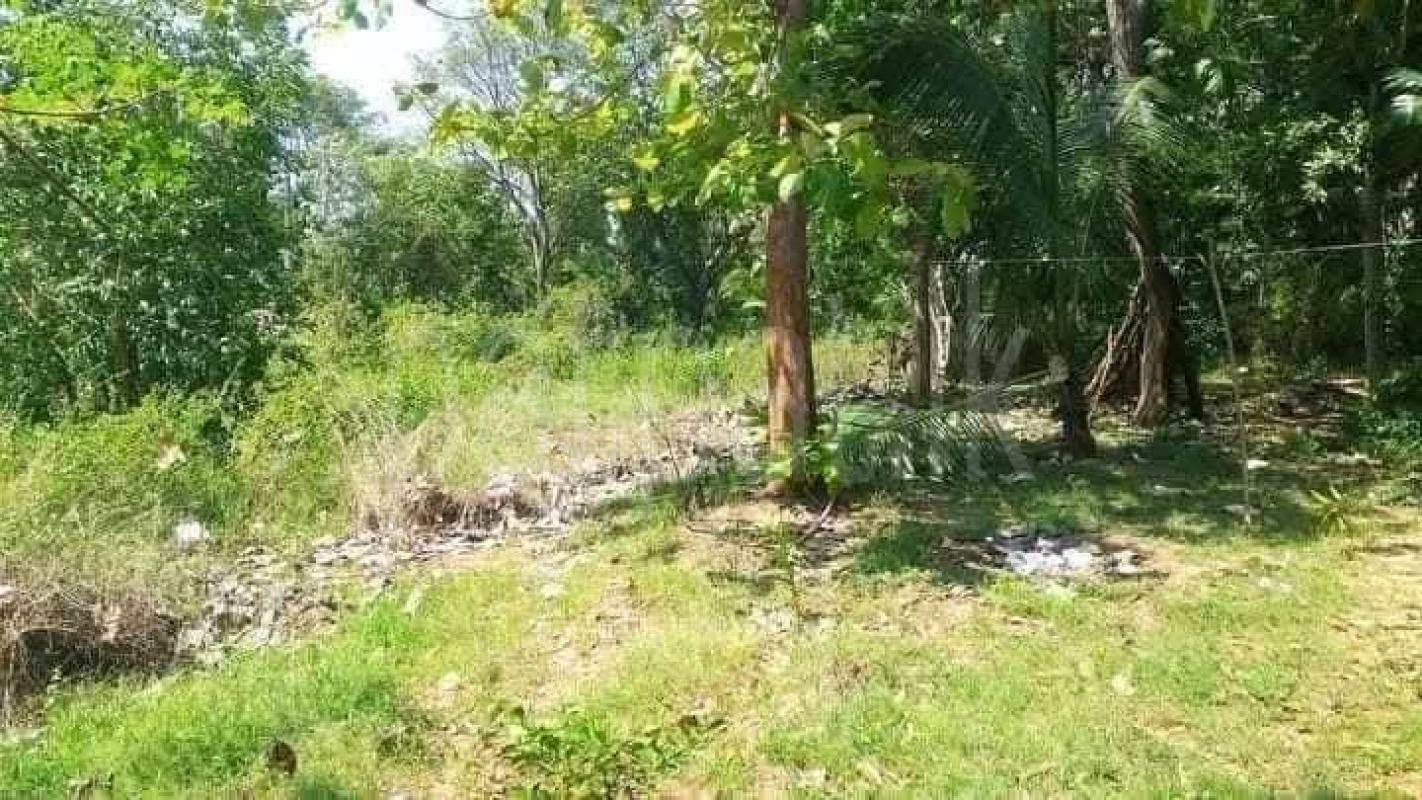 Residential Land for Sale in Kataragama
