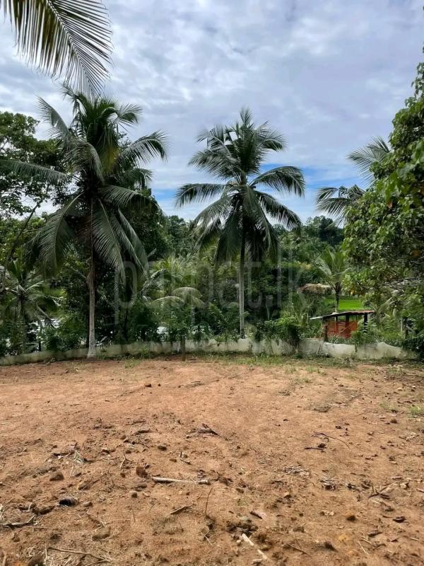 Residential Land for Sale in Weligama