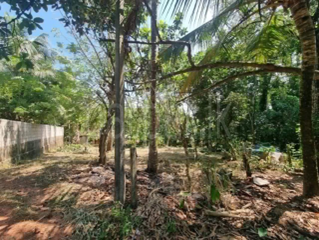 Residential Land for Sale in Nittambuwa ads-image-1
