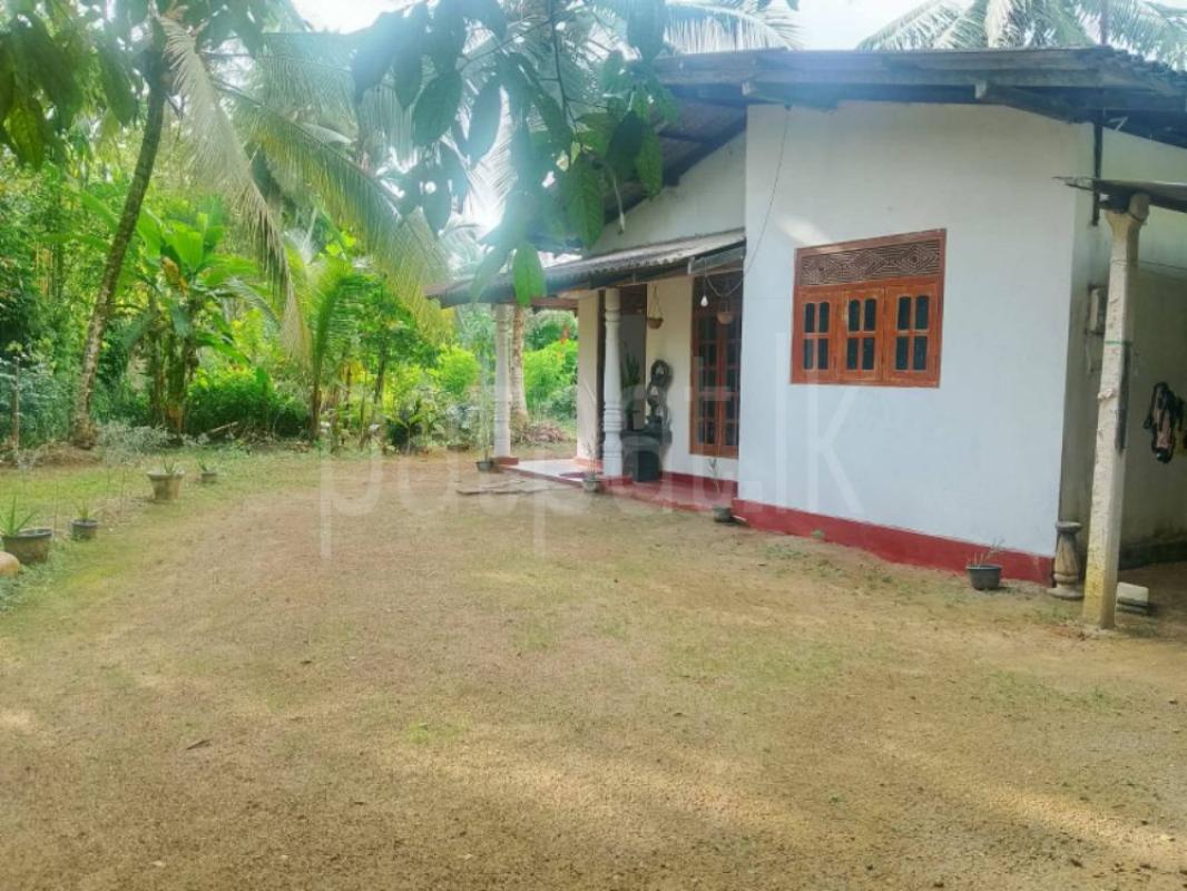 premium-listing-image