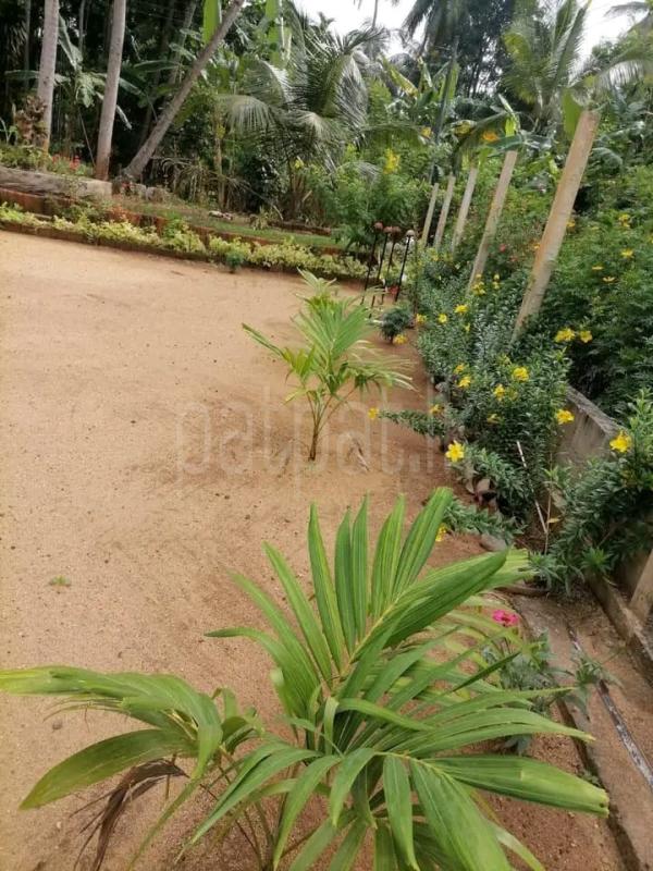 premium-listing-image