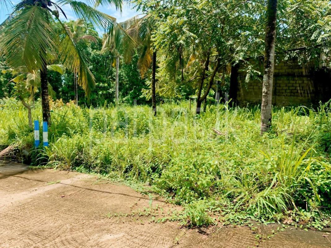 Residential Land for Sale in Ganemulla