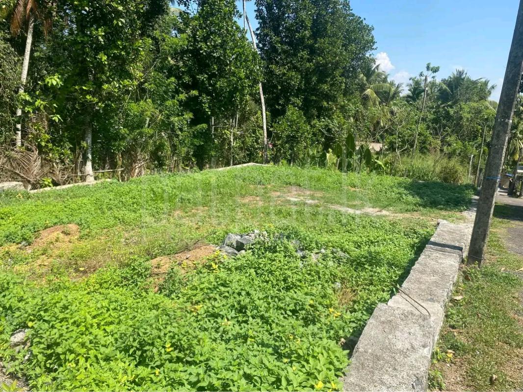 Residential Land for Sale in Talawatugoda