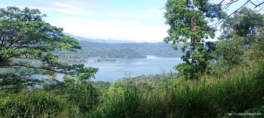 Agricultural Land for Sale in Beligamuwa ads-image-1