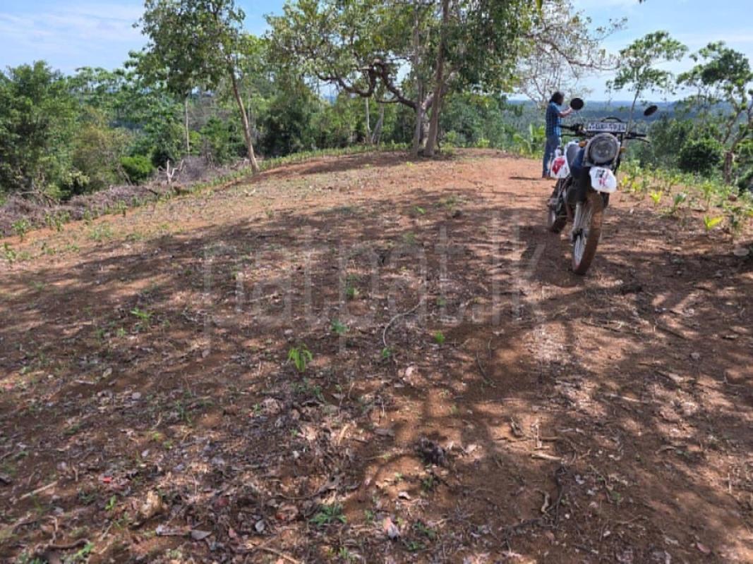 Commercial Land for Sale in Weligama