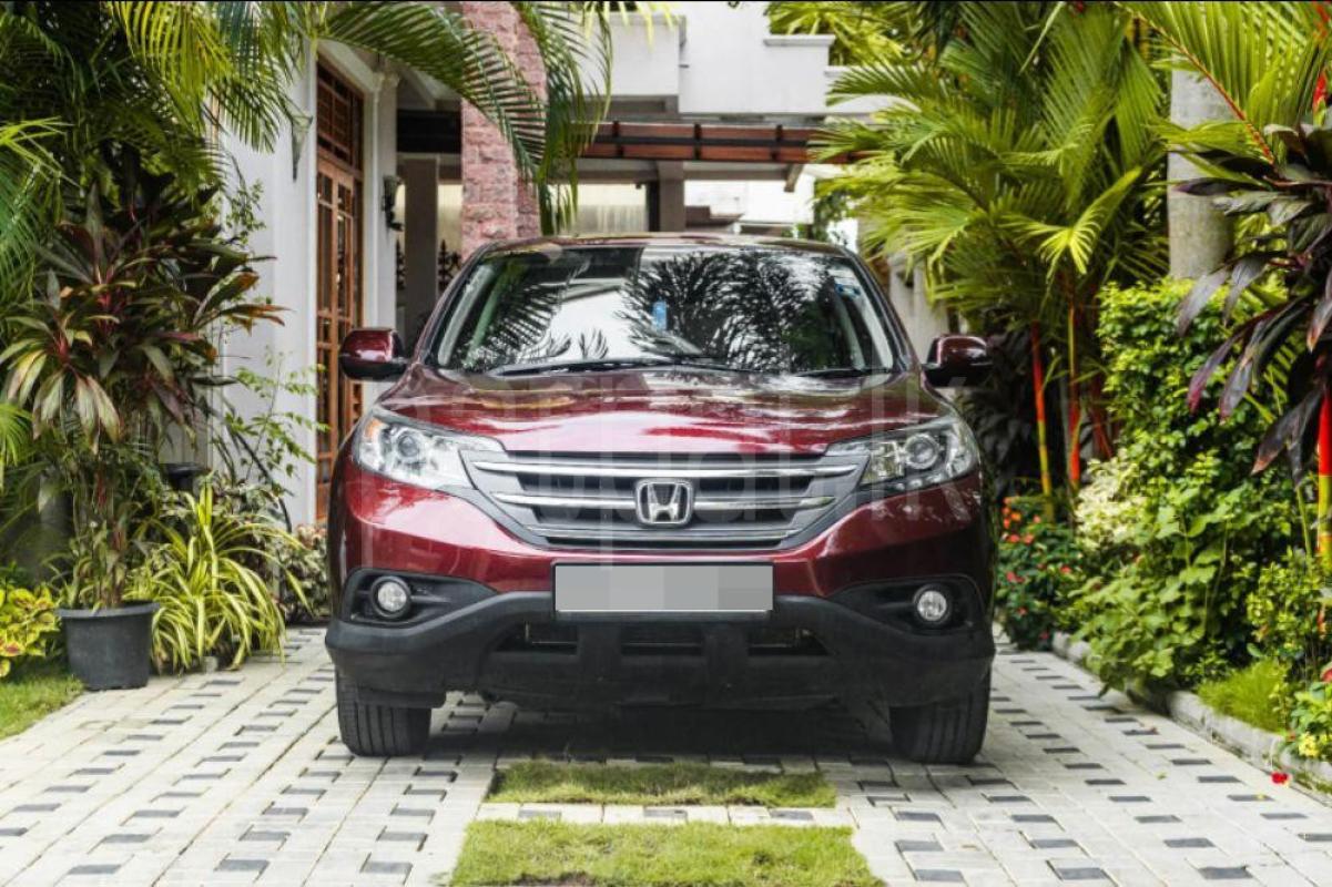 Advertisement image 2