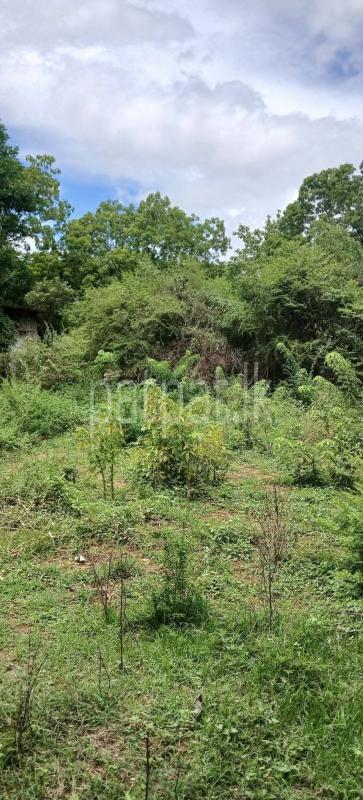 Residential Land for Sale in Kataragama
