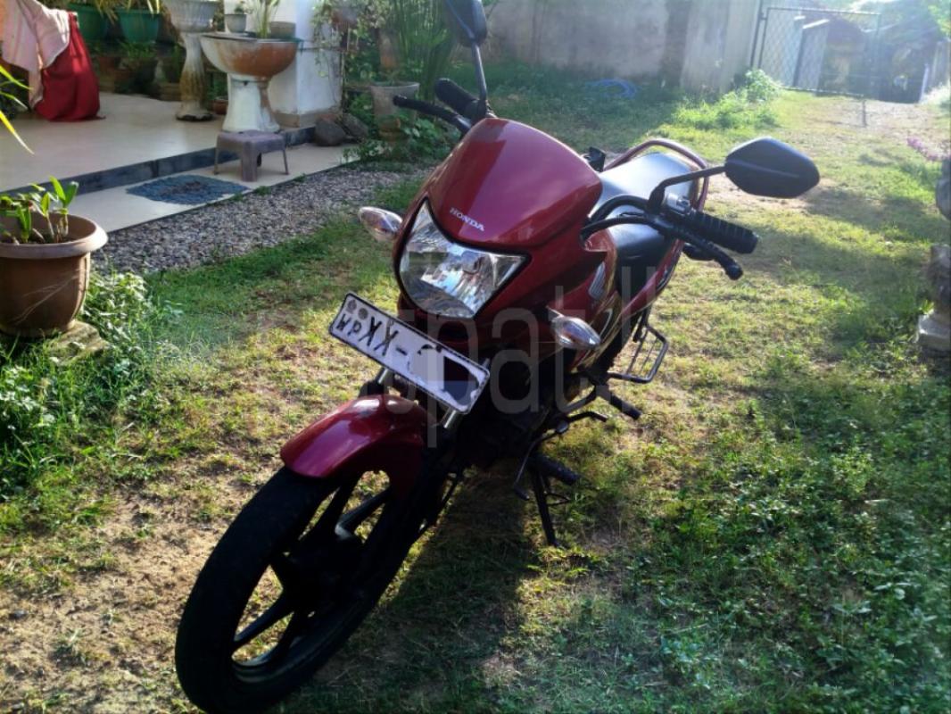 Advertisement image 3