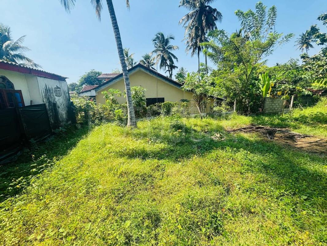 Commercial Land for Sale in Panadura