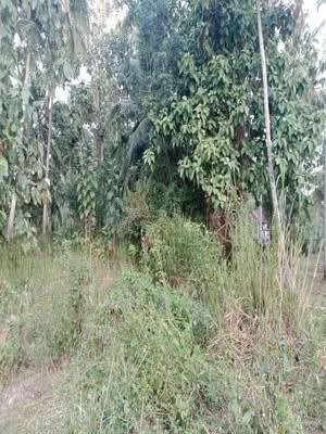 House for Sale in Hettipola