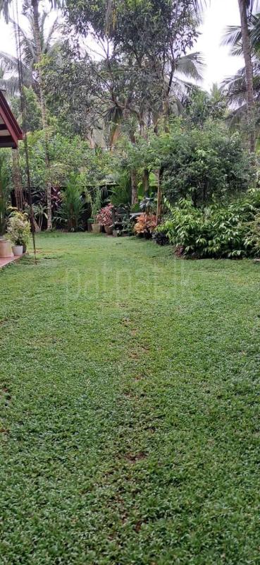 House for Sale in Delgoda
