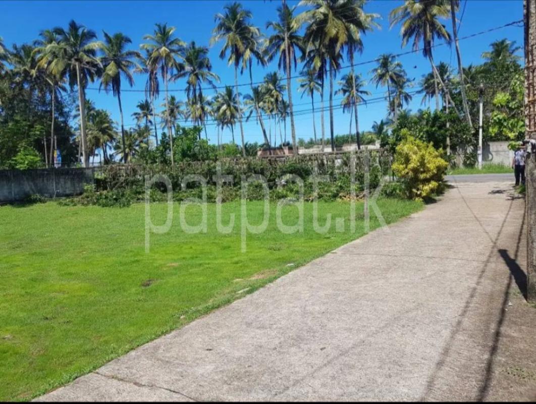 Advertisement image 1