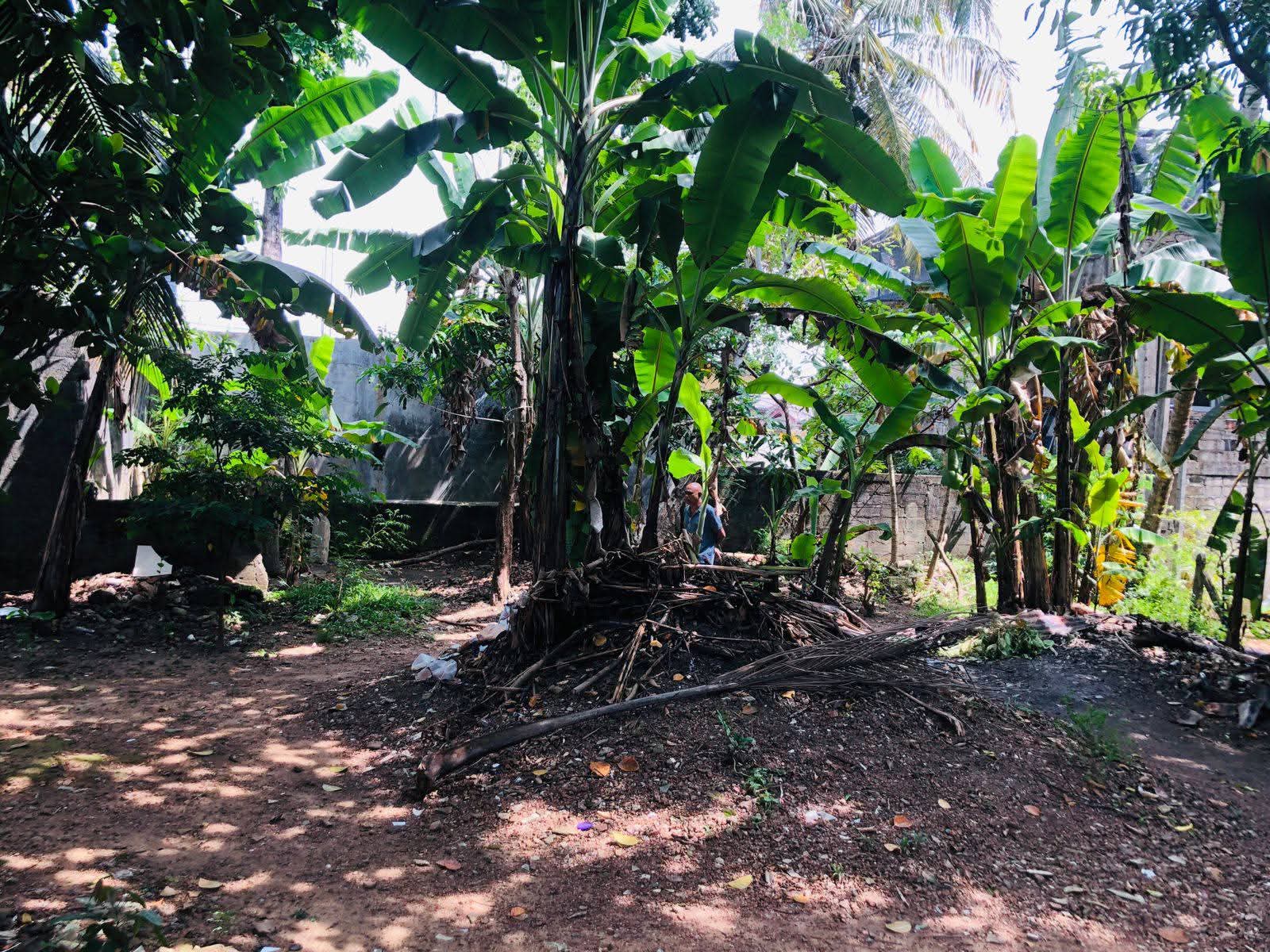Commercial Land for Sale in Nugegoda