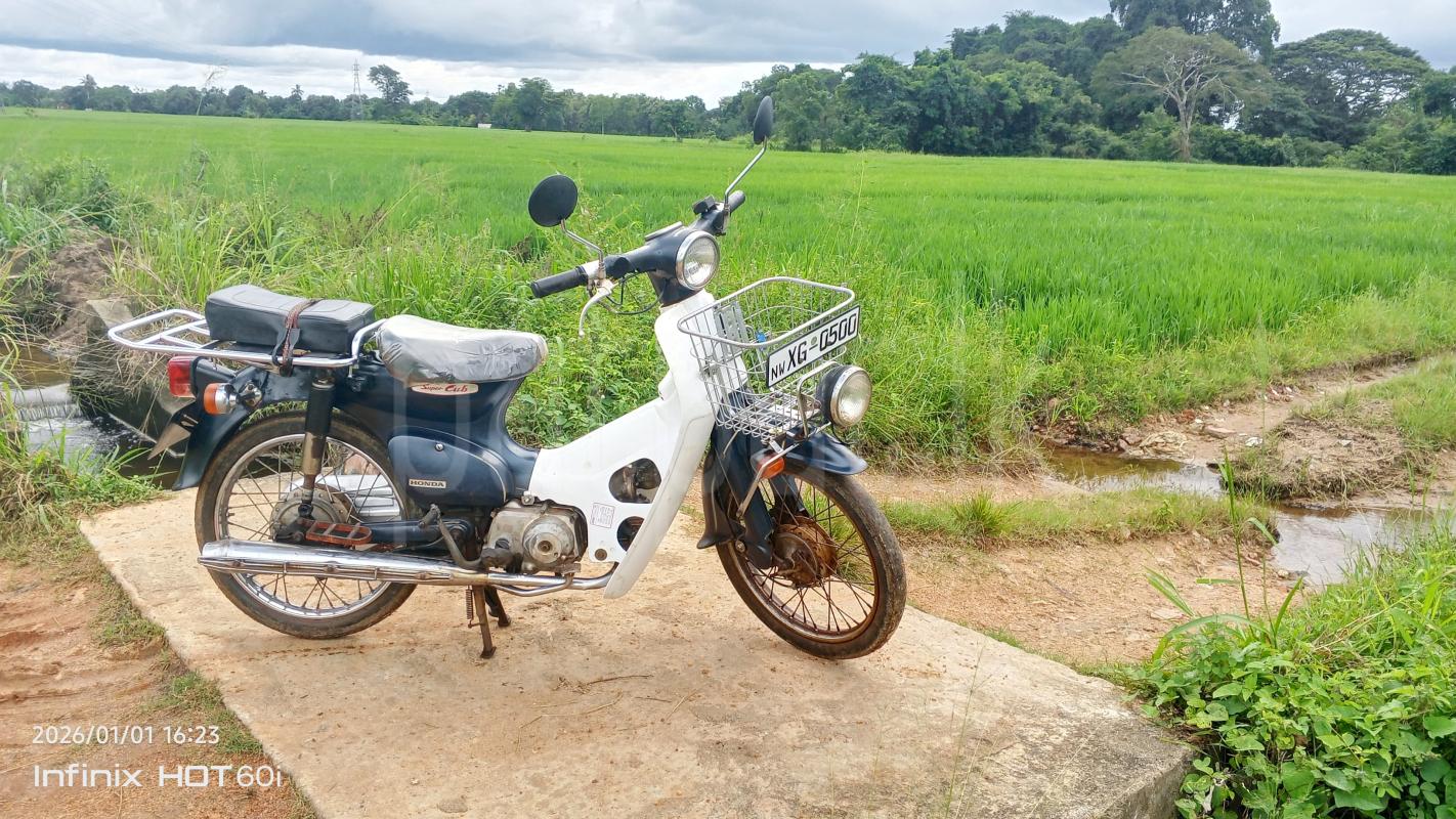 Advertisement image 5