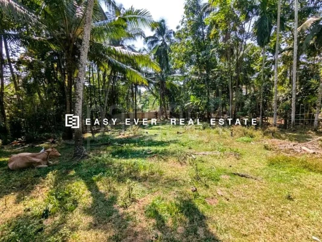 Commercial Land for Sale in Athurugiriya ads-image-1