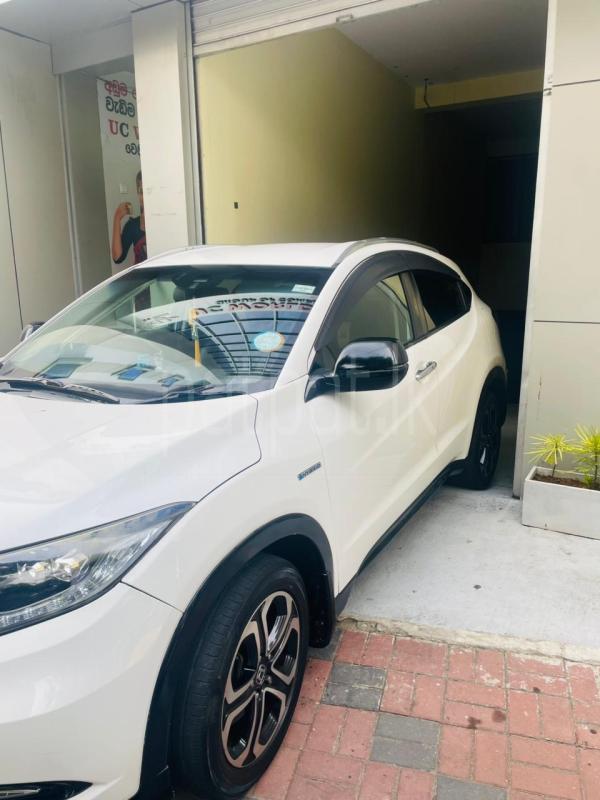 Advertisement image 3