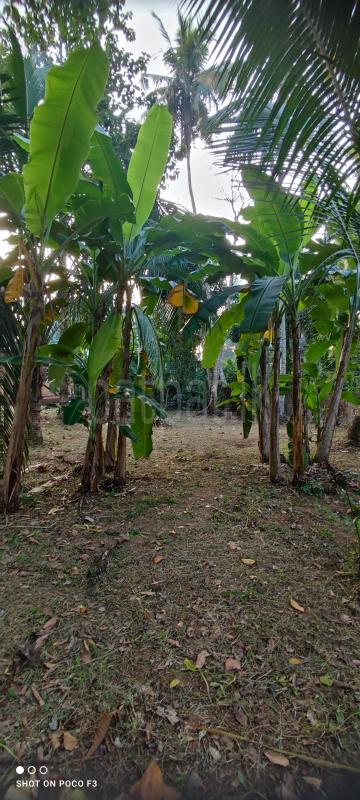 Residential Land for Sale in Panagoda ads-image-1