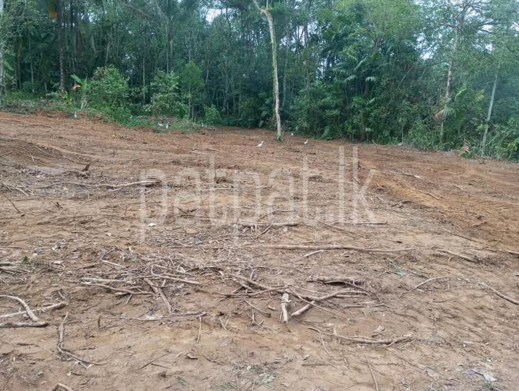 Residential Land for Sale in Meegoda ads-image-1