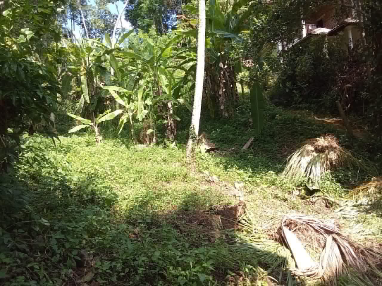 Commercial Land for Sale in Aranayaka