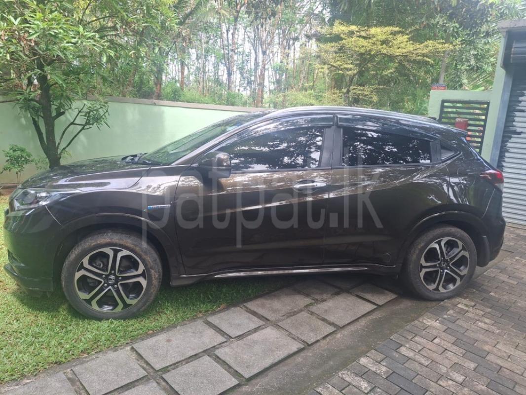 Advertisement image 5