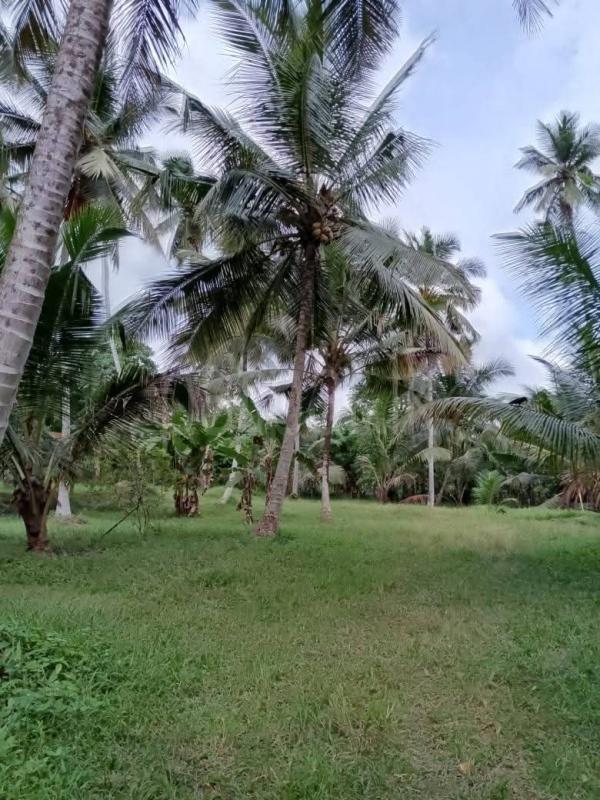 Agricultural Land for Sale in Divulapitiya ads-image-1