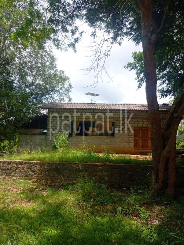 Commercial Land for Sale in Moragollagama