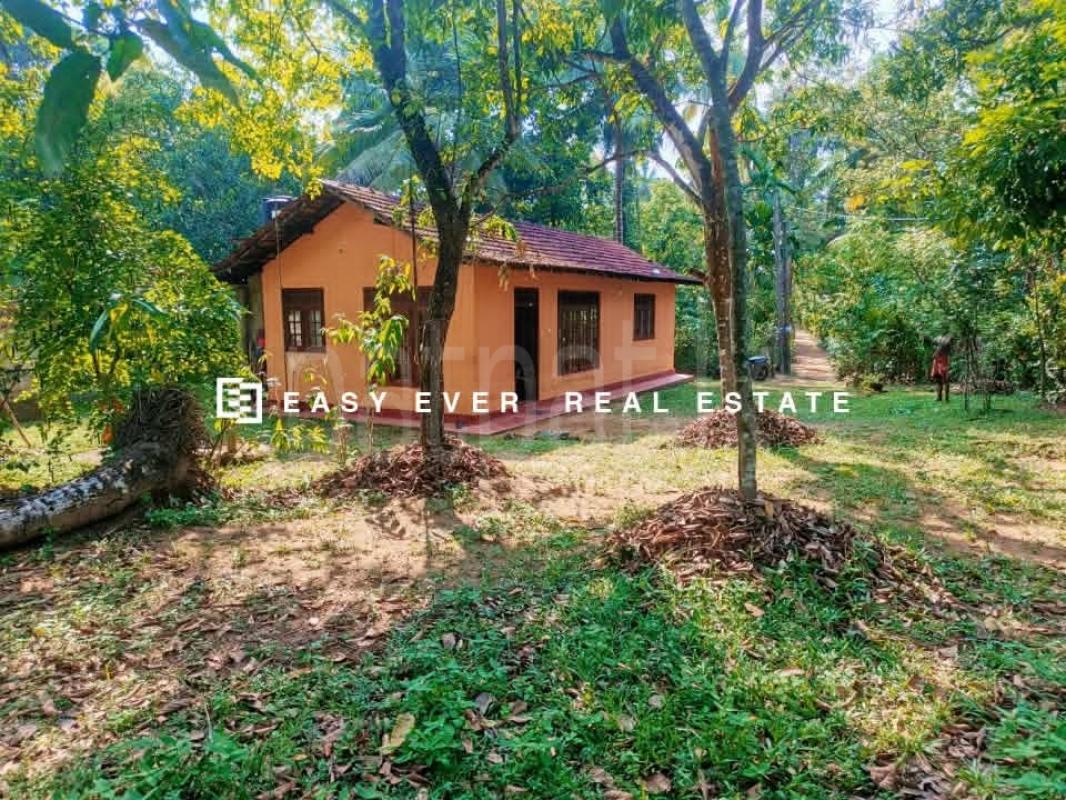 House for Sale in Nittambuwa