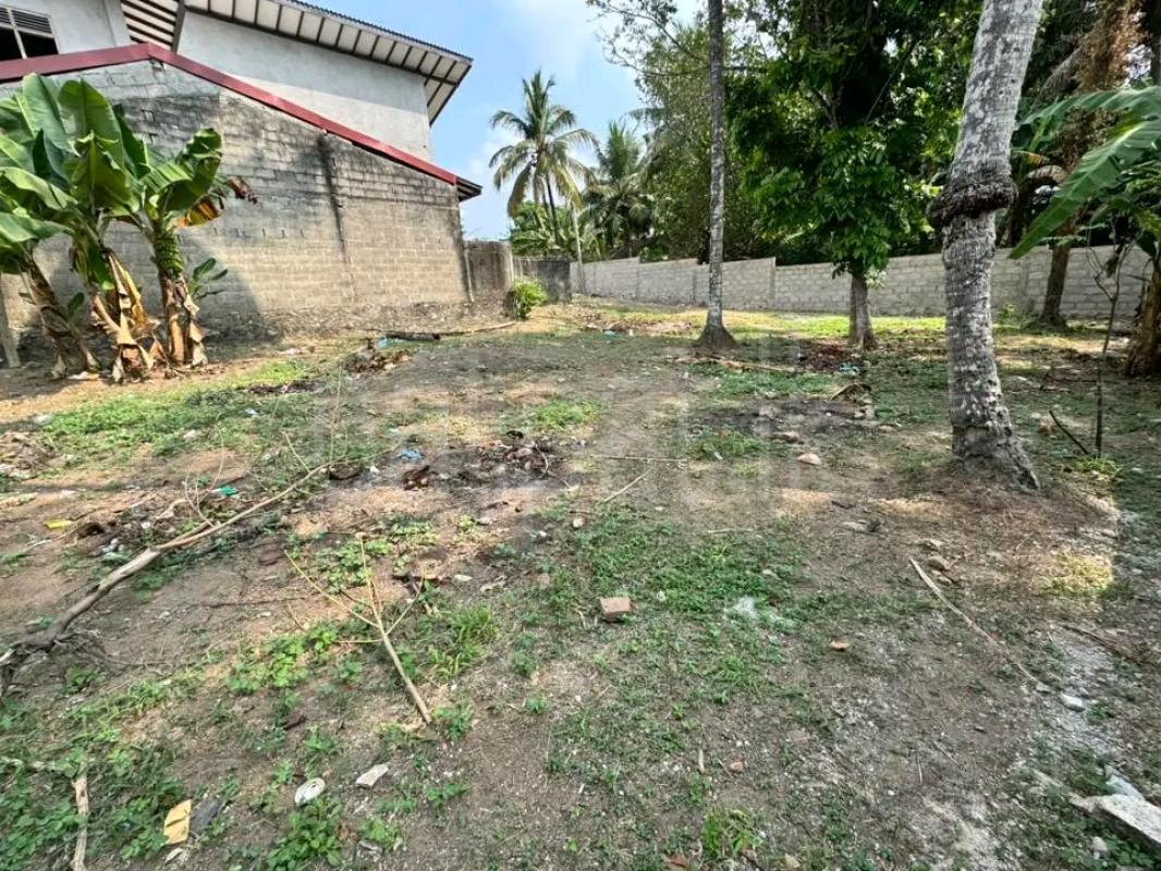 Residential Land for Sale in Maho