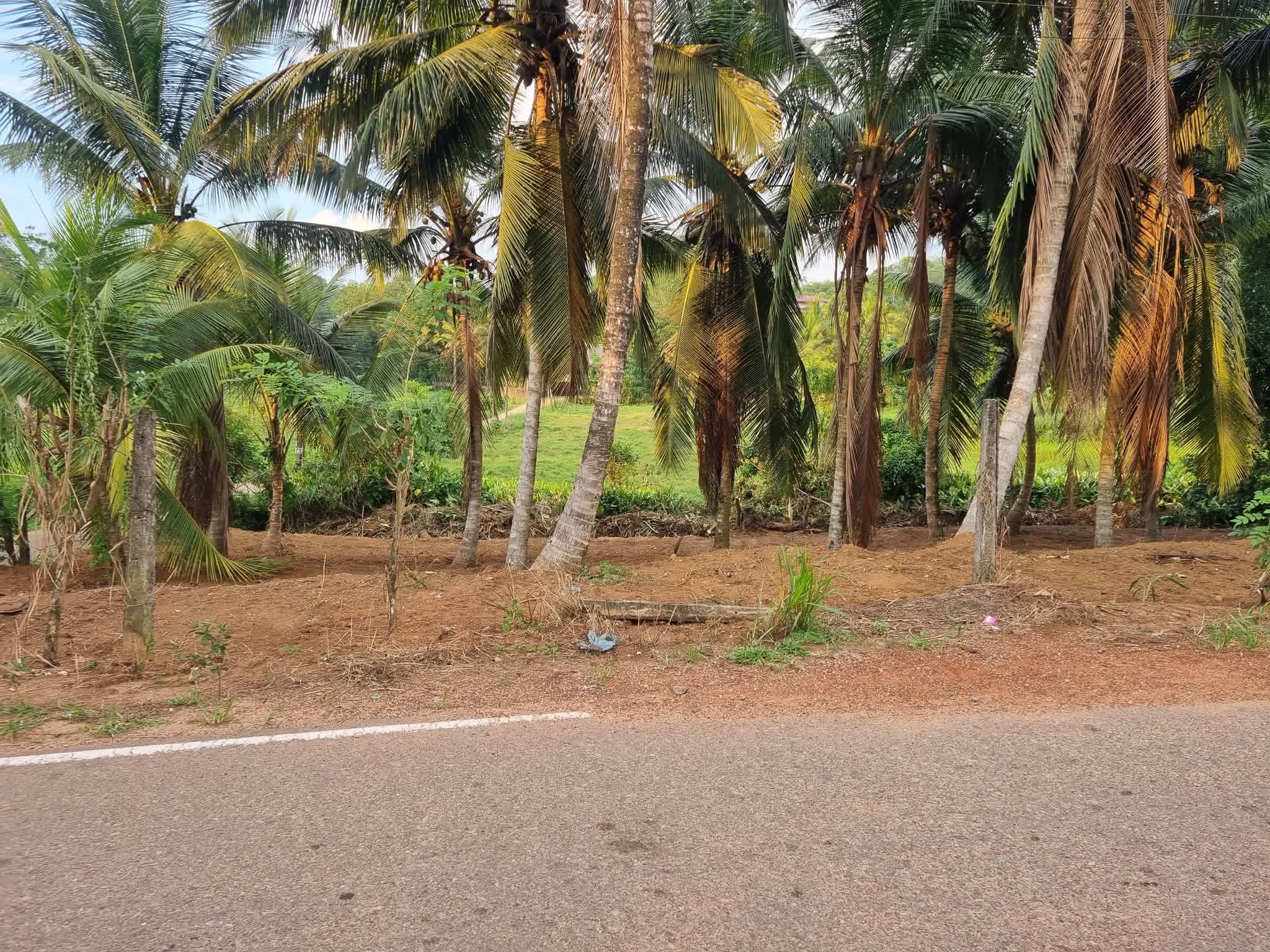 Residential Land for Sale in Kirindiwela