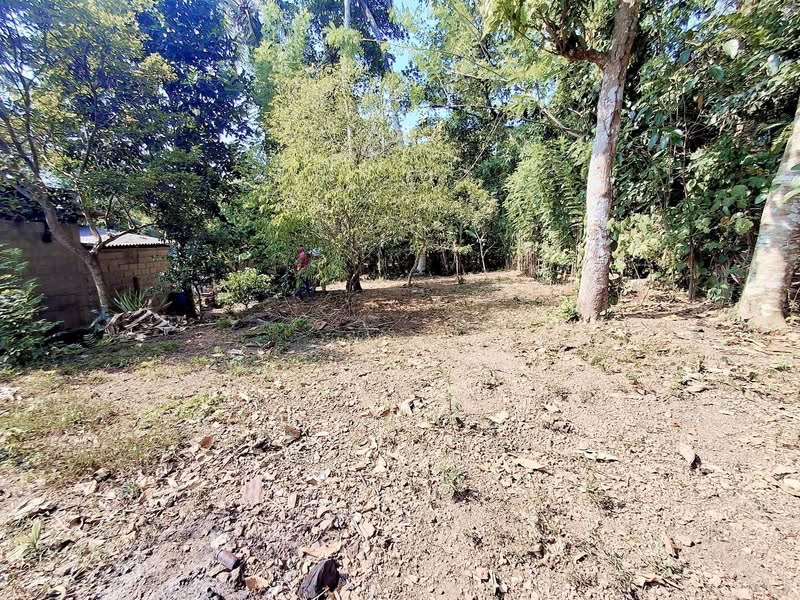 Agricultural Land for Sale in Panadura