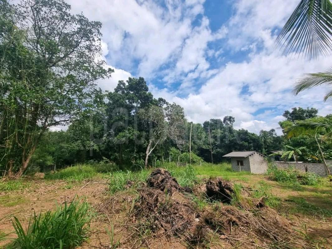 Residential Land for Sale in Kandana