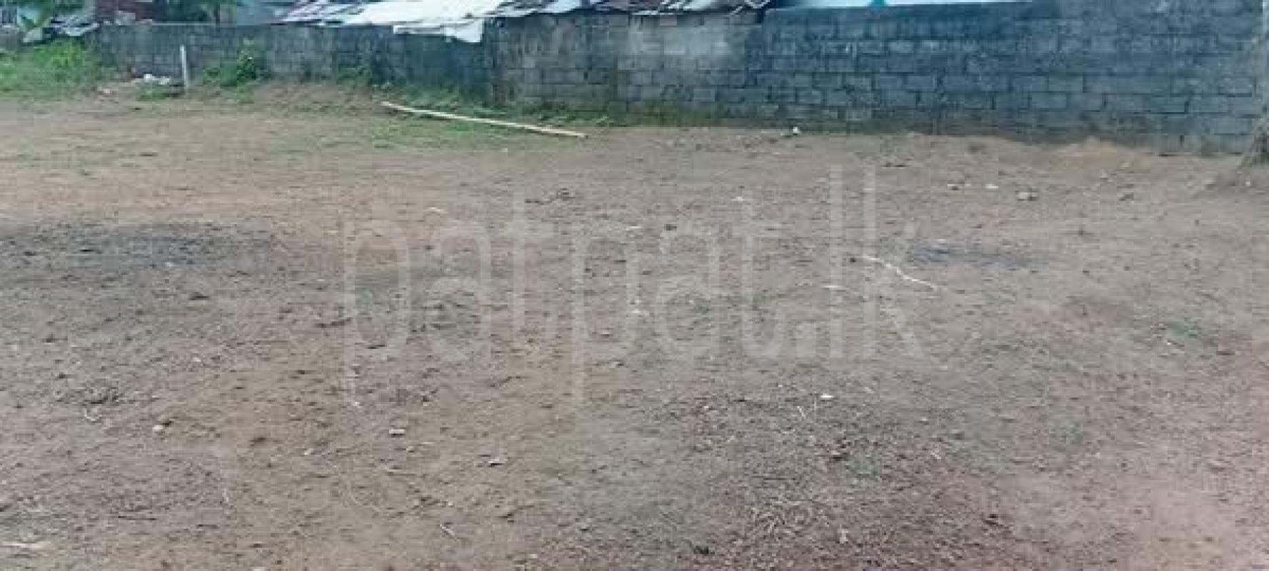Agricultural Land for Sale in Delgoda
