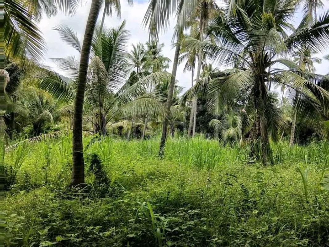 Agricultural Land for Sale in Kurunegala