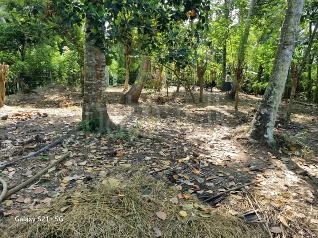 Commercial Land for Sale in Kundasale