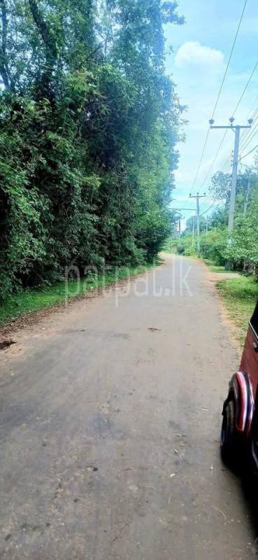 House for Sale in Kataragama