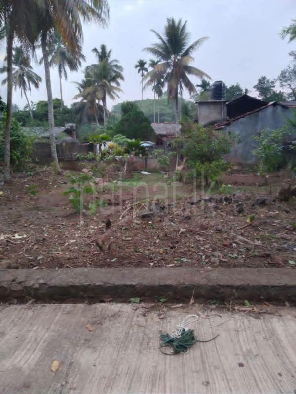 Commercial Land for Sale in Horana