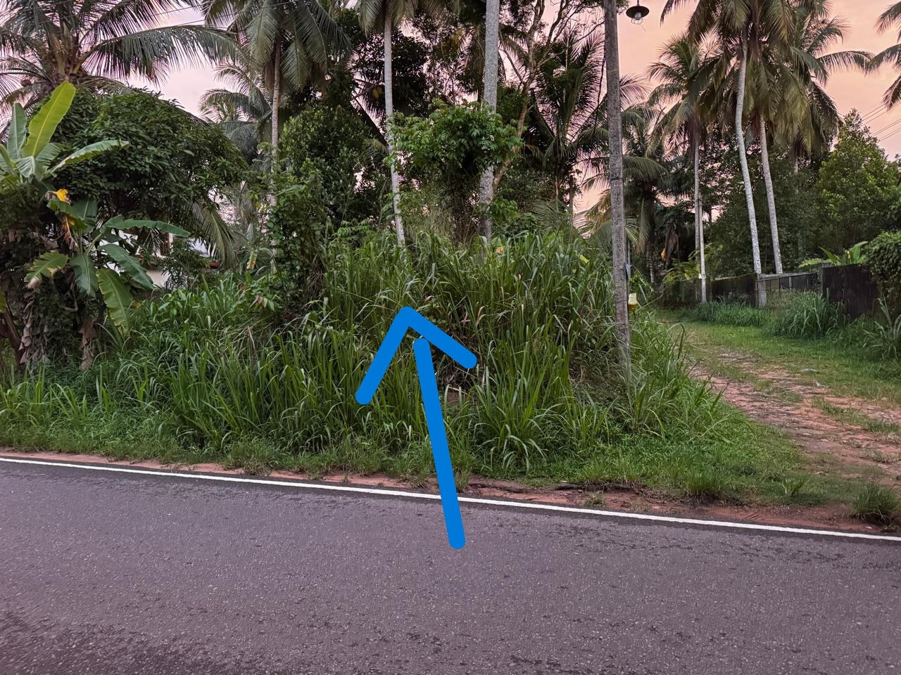 Commercial Land for Rent in Gampaha