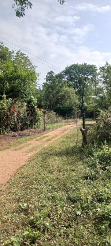 Residential Land for Sale in Kataragama