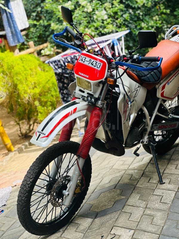 Advertisement image 3