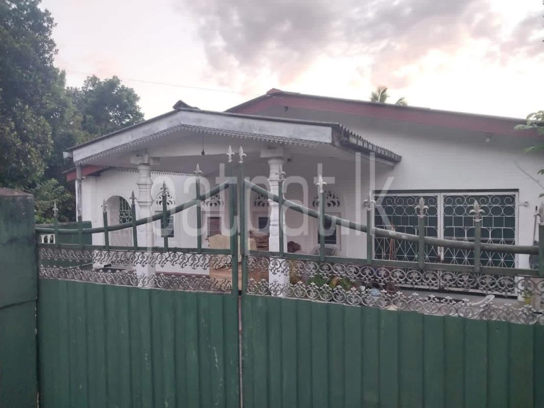 House for Rent in Pilimatalawa ads-image-1