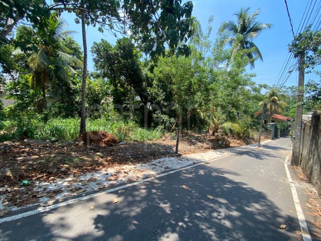 Residential Land for Sale in Malabe