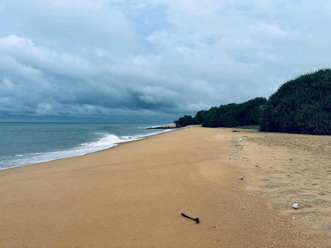 Residential Land for Sale in Chilaw ads-image-1