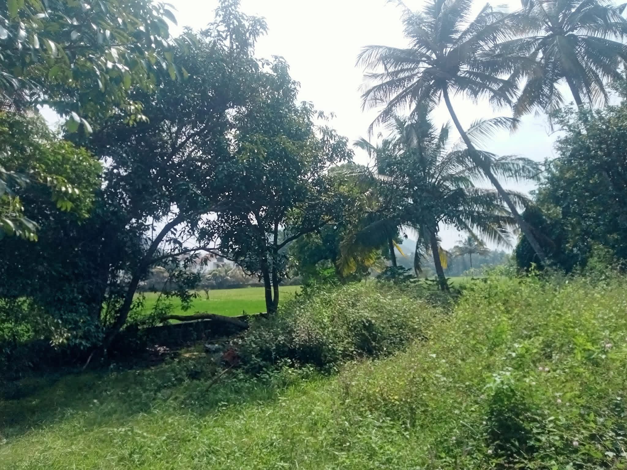 Residential Land for Sale in Kurunegala