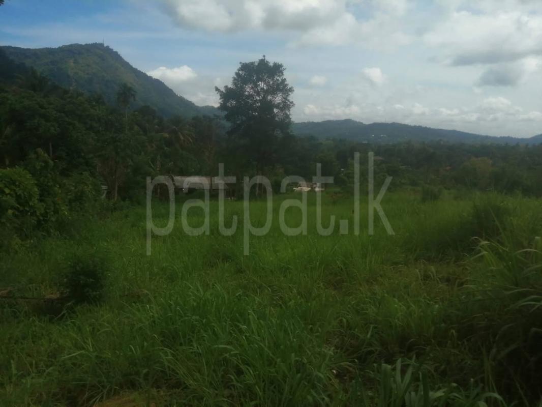 Commercial Land for Sale in Gampola